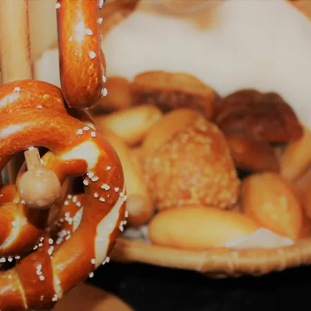 Germersheimer Hof 3* 게르메르샤임